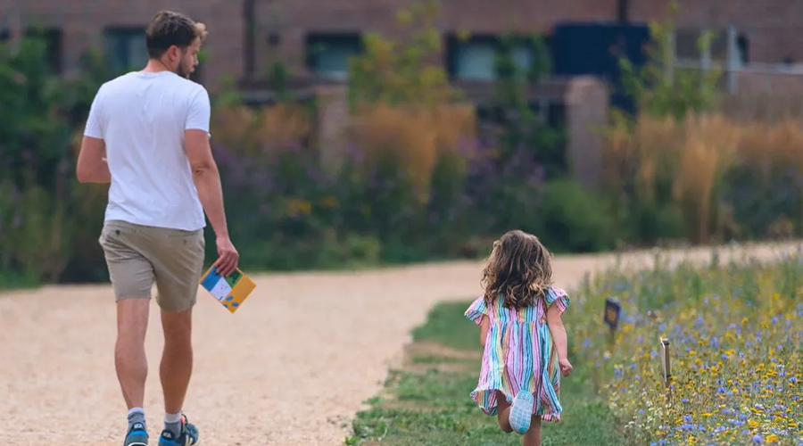 Blooming Wildflowers At Brabazon Park 2025